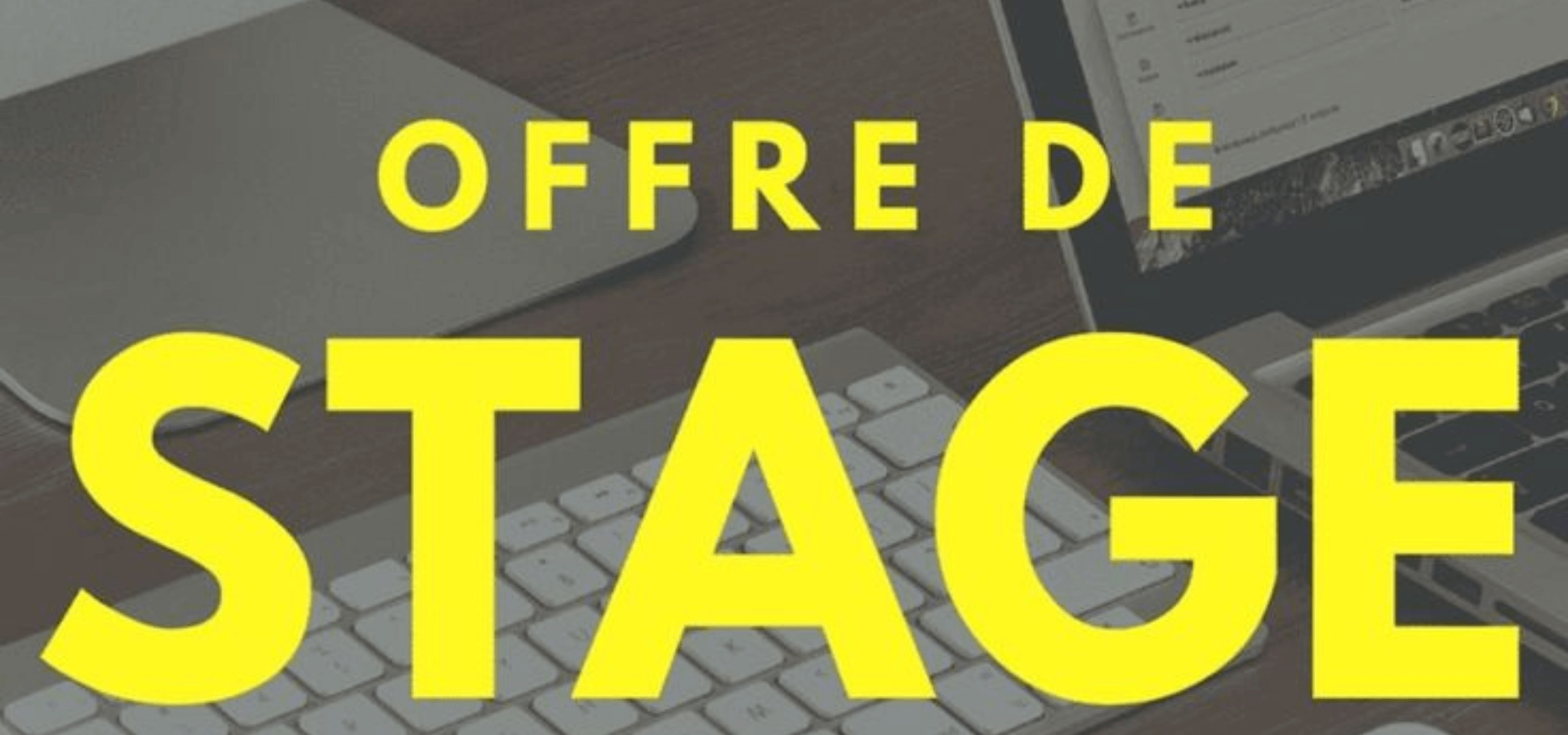 OFFRE DE STAGE : GRAPHISTE / COMMUNITY MANAGER