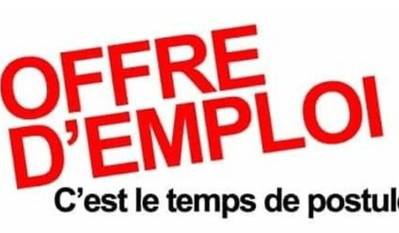 LA MISSION CICR DU TOGO RECRUTE :UN/E ASSISTANT-E RH