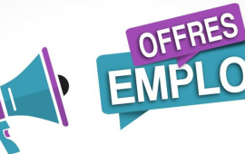 OFFRE D’EMPLOI