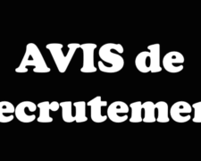 Avis de Recrutement