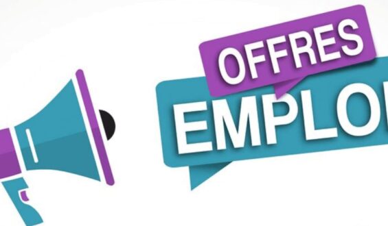 L’agence Digital SOU NOVA recherche deux bénévoles.